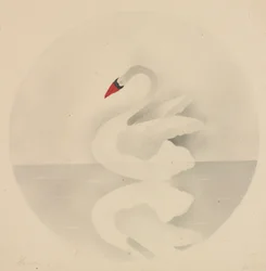 Schwan