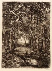 Das Meer durch den Wald