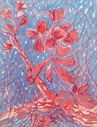 Mandelblüte