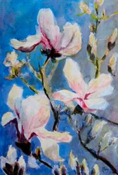 Magnolien