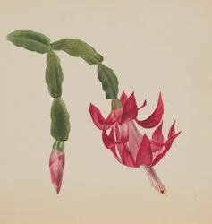 (Ohne Titel--Blumenstudie)