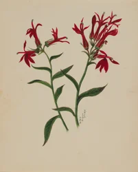 (Ohne Titel--Blumenstudie)