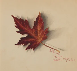 Ohne Titel (Herbstblatt)