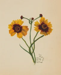 Ohne Titel, 1875