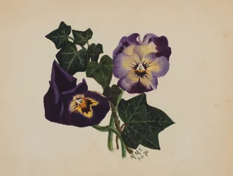 Ohne Titel Stiefmütterchen und Efeu, 1876