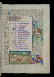 Arbeit des Monats - November