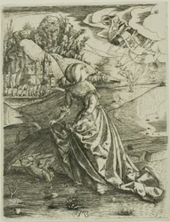 Die Frau mit einer Eule