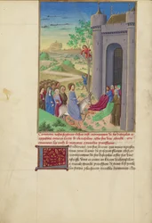 Der Einzug in Jerusalem