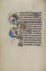 Geschmückte Initiale D