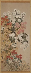Chrysanthemen