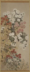 Chrysanthemen