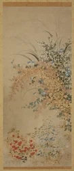 Blumen und Gräser