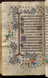 Stundenbuch von Karl dem Edlen, König von Navarra (1361-1425): fol. 205v, Text