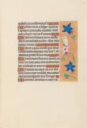 Stundenbuch der Königin Isabella die Katholische, Königin von Spanien: Fol. 102r, um 1500