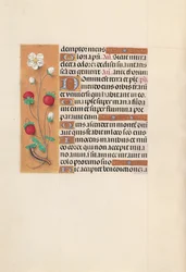 Stundenbuch der Königin Isabella der Katholischen, Königin von Spanien: Fol. 102v, ca. 1500