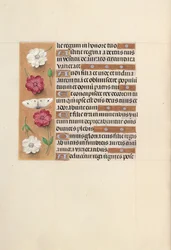 Stundenbuch der Königin Isabella der Katholischen, Königin von Spanien: Fol. 104v, ca. 1500
