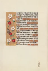 Stundenbuch der Königin Isabella der Katholischen, Königin von Spanien: Fol. 106v