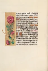 Stundenbuch der Königin Isabella der Katholischen, Königin von Spanien: Fol. 110v, ca. 1500