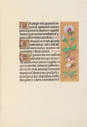 Stundenbuch der Königin Isabella die Katholische, Königin von Spanien: Fol. 125r, um 1500