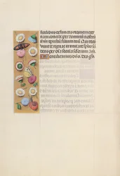 Stundenbuch der Königin Isabella die Katholische, Königin von Spanien: Fol. 135v
