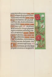 Stundenbuch der Königin Isabella der Katholischen, Königin von Spanien: Fol. 152r, um 1500