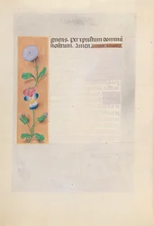 Stundenbuch der Königin Isabella der Katholischen, Königin von Spanien: Fol. 196v, ca. 1500