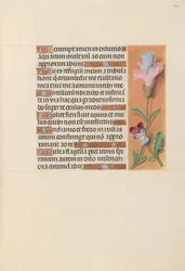 Stundenbuch der Königin Isabella der Katholischen, Königin von Spanien: Fol. 202r, ca. 1500