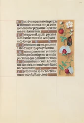 Stundenbuch der Königin Isabella die Katholische, Königin von Spanien: Fol. 204r, ca. 1500