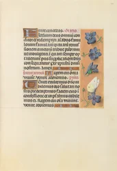 Stundenbuch der Königin Isabella der Katholischen, Königin von Spanien: Fol. 226r, um 1500