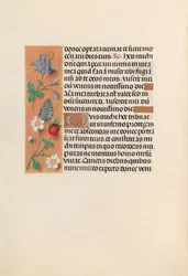 Stundenbuch der Königin Isabella der Katholischen, Königin von Spanien: Fol. 238v, ca. 1500