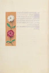 Stundenbuch der Königin Isabella der Katholischen, Königin von Spanien: Fol. 23v