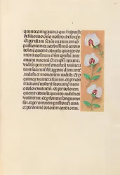 Stunden der Königin Isabella der Katholischen, Königin von Spanien: Fol. 259r, ca. 1500