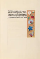 Stundenbuch der Königin Isabella die Katholische, Königin von Spanien: Fol. 269r, um 1500