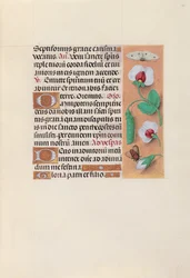 Stundenbuch der Königin Isabella die Katholische, Königin von Spanien: Fol. 35r, ca. 1500