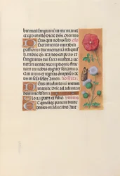 Stundenbuch der Königin Isabella der Katholischen, Königin von Spanien: Fol. 46r, ca. 1500