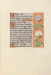 Stundenbuch der Königin Isabella der Katholischen, Königin von Spanien: Fol. 47r, ca. 1500