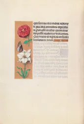 Stundenbuch der Königin Isabella der Katholischen, Königin von Spanien: Fol. 76v