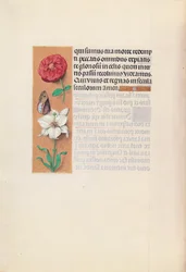 Stundenbuch der Königin Isabella der Katholischen, Königin von Spanien: Fol. 76v, ca. 1500