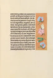 Stundenbuch der Königin Isabella der Katholischen, Königin von Spanien: Fol. 94r, ca. 1500
