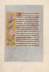 Stunden der Königin Isabella der Katholischen, Königin von Spanien: Fol. 98v, ca. 1500