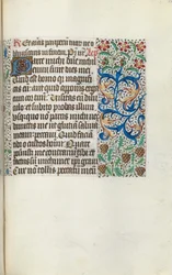 Stundenbuch (Gebrauch von Rouen): fol. 115r