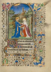 Die Heimsuchung