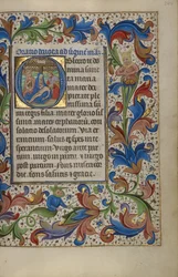 Initial O: Die Pietà