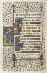 Ms 62 f.132v Geflügelte Figur in einem Baumwipfel mit Buch, durchbohrt von einem Schwert, aus den 