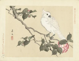 Weißer Kakadu auf einem Kamelienzweig; Blumen- und Vogelstudien von Keibun, Teil drei (Serientitel); Keibun kacho gafu kohen (Serientitel auf dem Objekt)