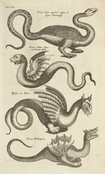 Tafel XII, Mythische Kreaturen, Drachen, Illustration aus 