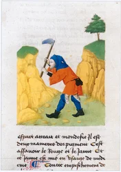 Le Livre des simples medecines - Übersetzung ins Französische aus dem lateinischen Manuskript des 12. Jahrhunderts von Matthaeus Platearius