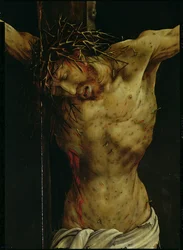 Die Kreuzigung vom Isenheimer Altar, Detail von Christi Oberkörper, ca. 1512-16 (Detail)