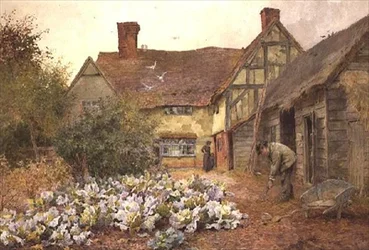 Pflege des Kohlbeets