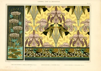 Jugendstilmuster mit Libellen, Orchideen und Kolibris (Litho)